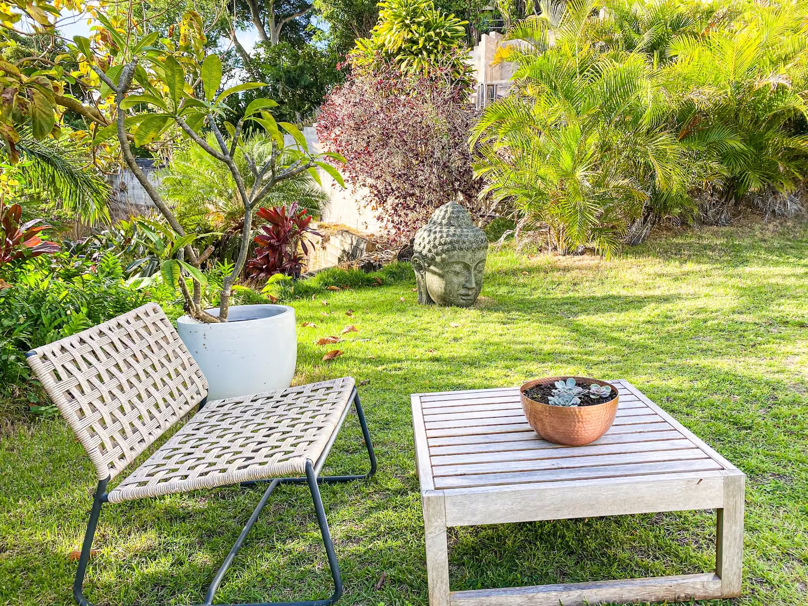 The Designer Home's garden